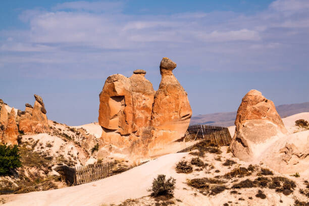 Newlander90 Plakát, Obraz - Camel Rockin Devrent Valley at Cappadocia., Newlander90, 40 × 26.7 cm