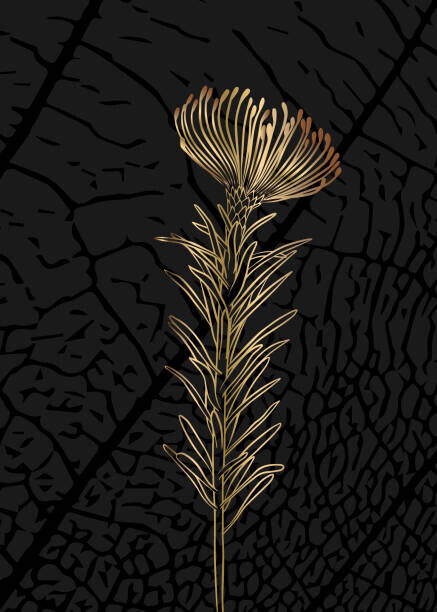 Elena Makarova Plakát, Obraz - Minimalist botanical illustration. Golden outline of, Elena Makarova, 30 × 40 cm