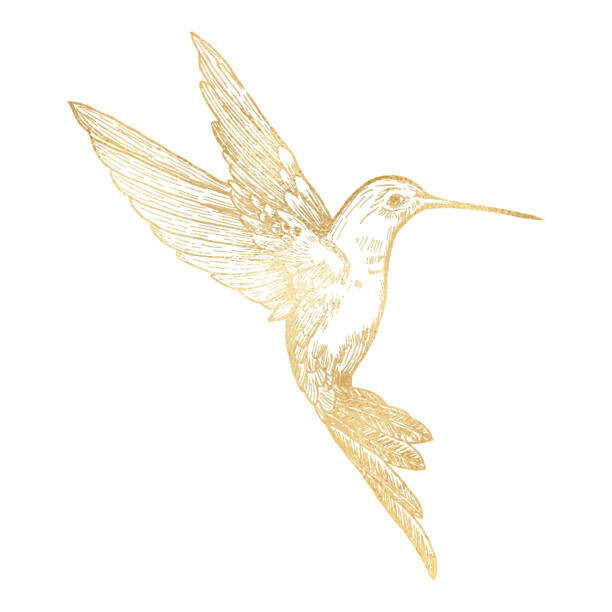 Gokcemim Plakát, Obraz - Gold Bee Hummingbird Isolated. Hand Painted, Gokcemim, 40 × 40 cm