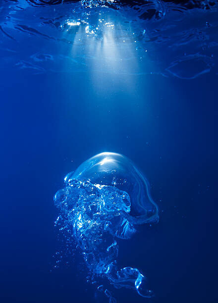 Biwa Studio Plakát, Obraz - Bubble on spot light in blue water, Biwa Studio, 30 × 40 cm