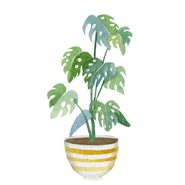 Anna Tkachenko Plakát, Obraz - Watercolor green floral house plants illustration.Hand, Anna Tkachenko, 40 × 40 cm