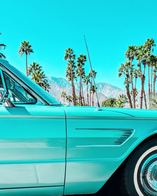 Tom Windeknecht Plakát, Obraz - Teal Thunderbird in Palm Springs, Tom Windeknecht, 30 × 40 cm