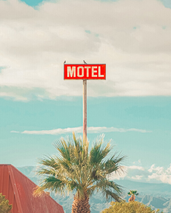 Tom Windeknecht Plakát, Obraz - This Motel is for the Birds, Tom Windeknecht, 30 × 40 cm