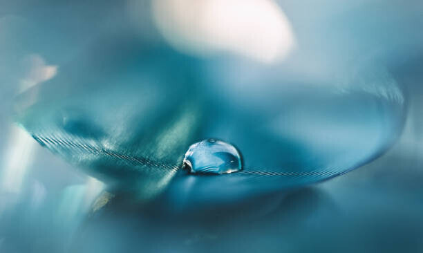 oxygen Plakát, Obraz - Feathers aqua blue color with a, oxygen, 40 × 23.9 cm