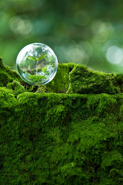 Yuji Sakai Plakát, Obraz - sprout inside  globe  in the air, Yuji Sakai, 26.7 × 40 cm
