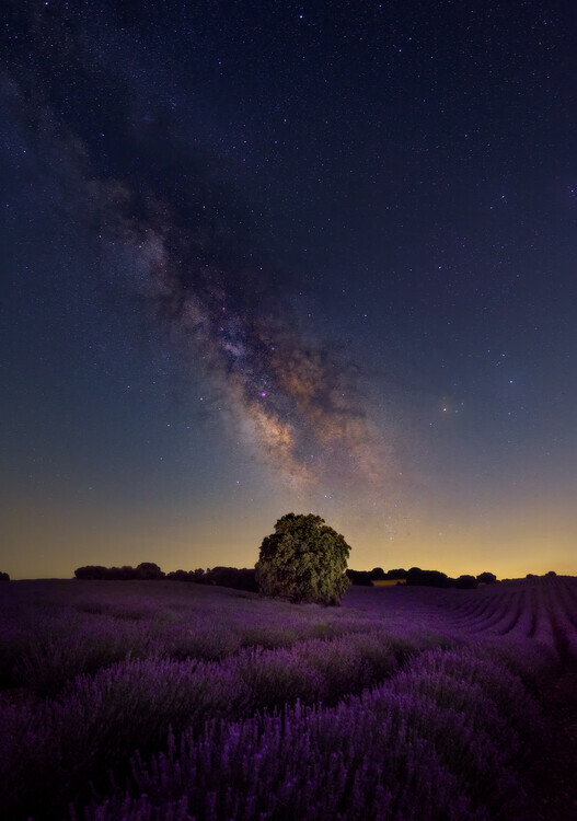 Carlos Hernandez Martinez Plakát, Obraz - Milky Way dreams, Carlos Hernandez Martinez, 26.7 × 40 cm