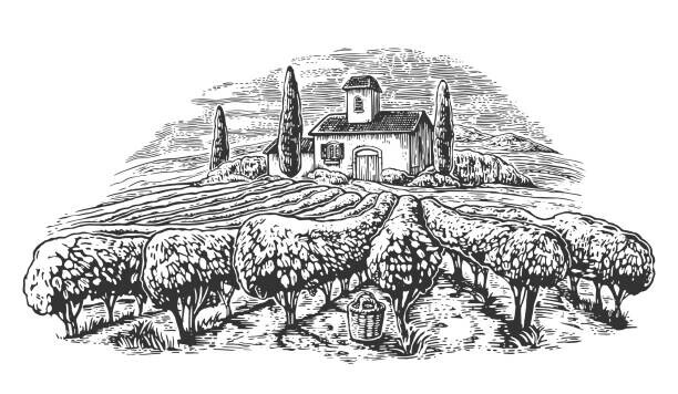 DenPotisev Plakát, Obraz - Rural landscape with villa, vineyard fields, DenPotisev, 40 × 22.2 cm