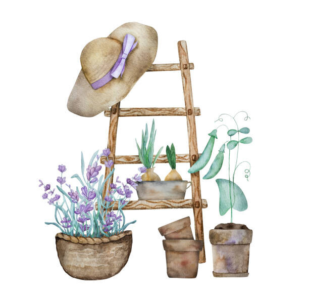 VYCHEGZHANINA Plakát, Obraz - Beautiful lavender provence watercolor illustration, VYCHEGZHANINA, 40 × 40 cm