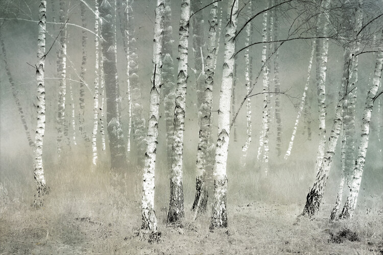 Nel Talen Plakát, Obraz - Morning silence, Nel Talen, 40 × 26.7 cm