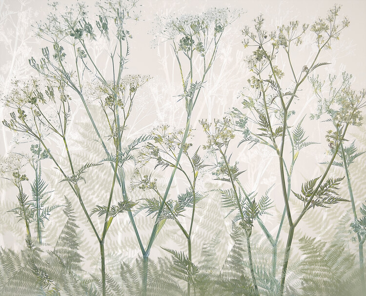 Nel Talen Plakát, Obraz - Cow parsley, Nel Talen, 40 × 30 cm