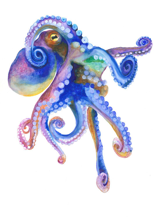 Isabelle Brent Plakát, Obraz - Blue Marine Octopuss, Isabelle Brent, 30 × 40 cm