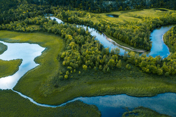 Baac3nes Plakát, Obraz - Swamp, river and trees seen from above, Baac3nes, 40 × 26.7 cm