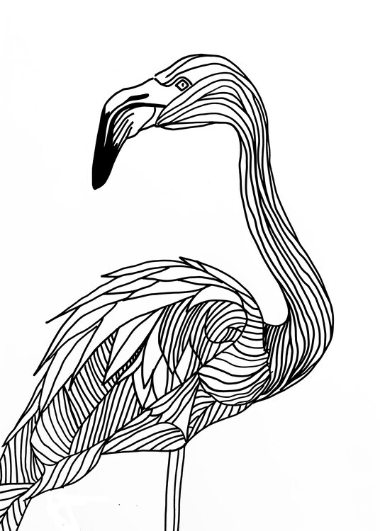 Justyna Jaszke Plakát, Obraz - Lines art Flamingo, Justyna Jaszke, 30 × 40 cm