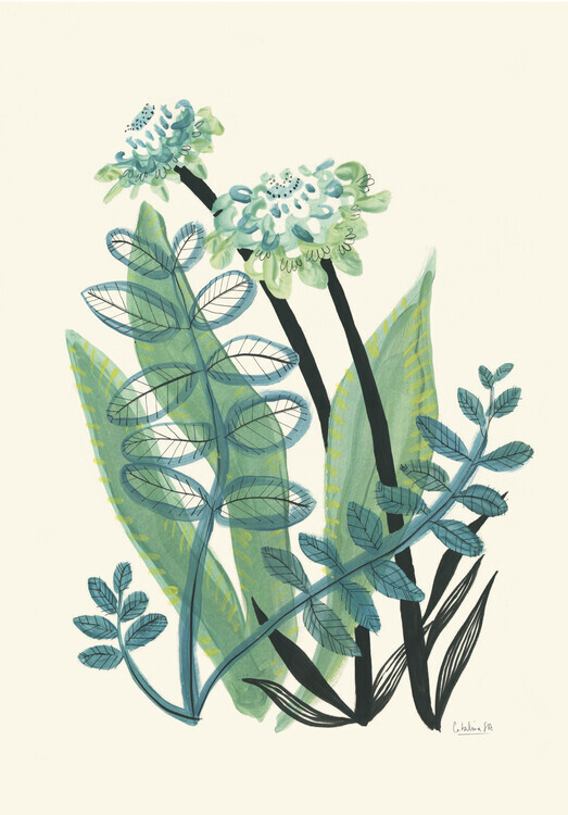 Catalina Somolinos Plakát, Obraz - Foliage N.3, Catalina Somolinos, 26.7 × 40 cm