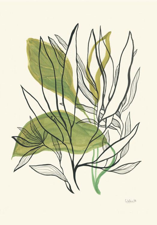 Catalina Somolinos Plakát, Obraz - Foliage N.1, Catalina Somolinos, 26.7 × 40 cm