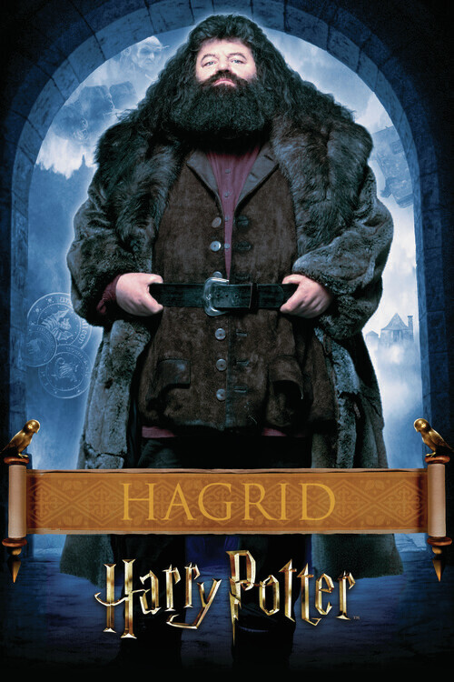 Europosters Plakát, Obraz - Harry Potter - Hargrid, 26.7 × 40 cm