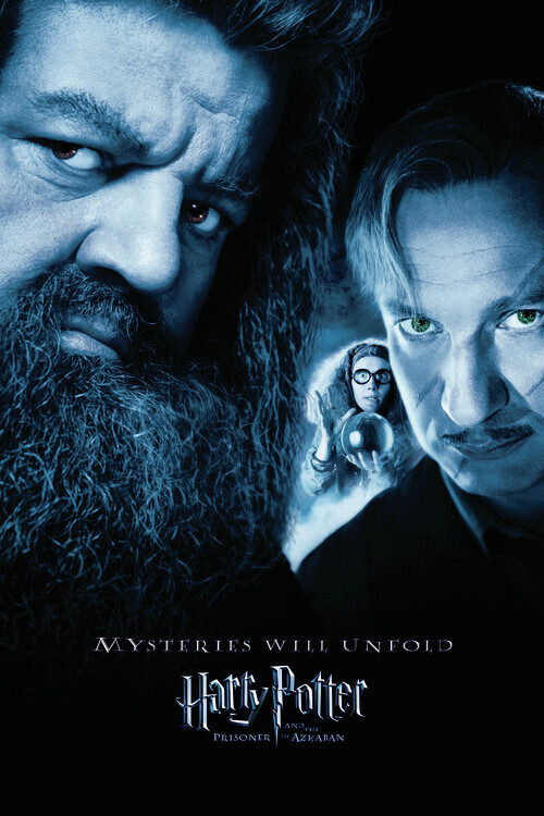 Europosters Plakát, Obraz - Harry Potter - Hagrid & Lupin, 26.7 × 40 cm