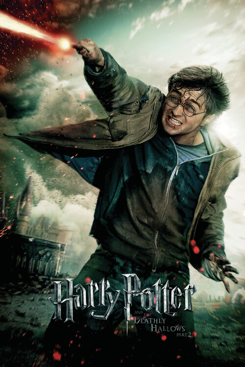 Europosters Plakát, Obraz - Harry Potter - Battle of Hogwarts, 26.7 × 40 cm