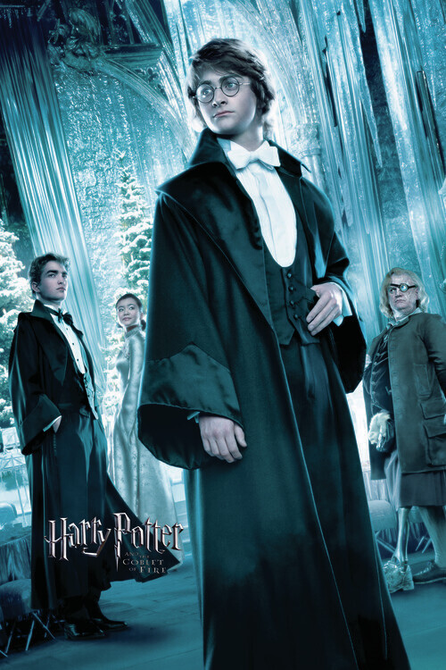 Europosters Plakát, Obraz - Harry Potter and the Goblet of Fire - Harry, 26.7 × 40 cm