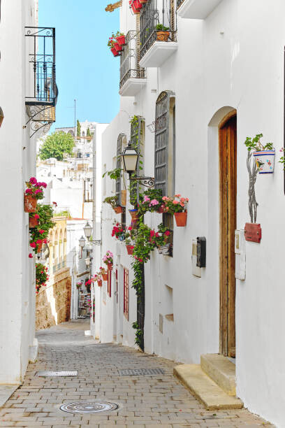 amoklv Plakát, Obraz - Picturesque narrow street with flowerpots in, amoklv, 26.7 × 40 cm