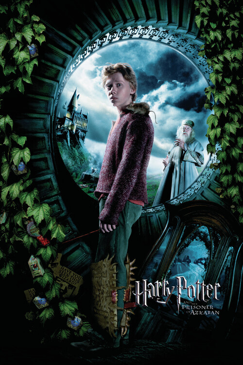 Europosters Plakát, Obraz - Harry Potter a Vězeň z Azkabanu - Ron, 26.7 × 40 cm