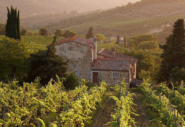Gary Yeowell Plakát, Obraz - Farmhouse in vineyard at sunset, Gary Yeowell, 40 × 26.7 cm
