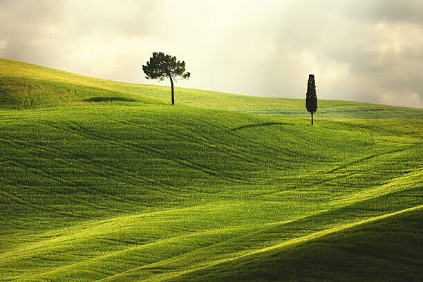 Peter Zelei Images Plakát, Obraz - Landscape in Tuscany, Peter Zelei Images, 40 × 26.7 cm