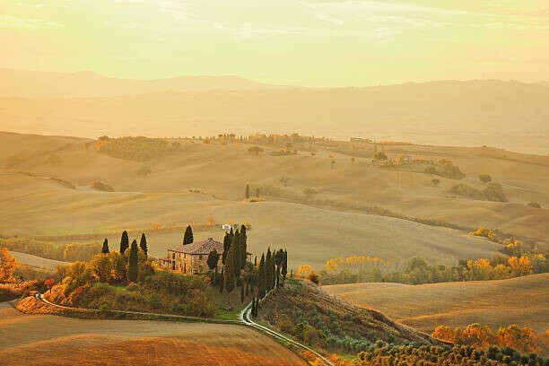 mammuth Plakát, Obraz - Farm in Tuscany, mammuth, 40 × 26.7 cm