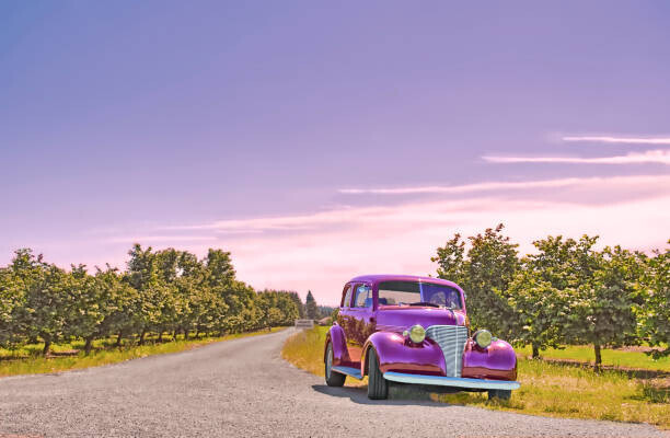 John C Magee Plakát, Obraz - Vintage Car And Orchard, John C Magee, 40 × 26.7 cm