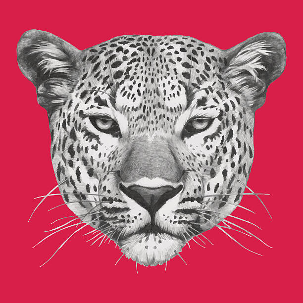 Victoria_Novak Plakát, Obraz - Portrait of Leopard., Victoria_Novak, 40 × 40 cm