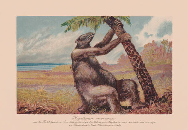 ZU_09 Plakát, Obraz - Megatherium americanum, extinct giant ground sloth,, ZU_09, 40 × 26.7 cm
