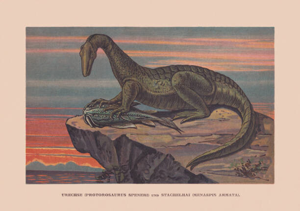 ZU_09 Plakát, Obraz - Protorosaurus speneri and Menaspis armata, Permian, ZU_09, 40 × 26.7 cm