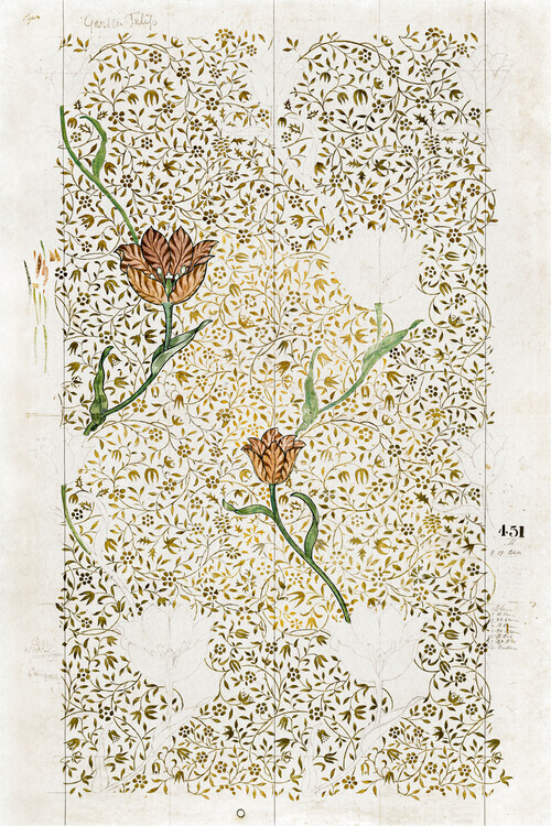 William Morris Plakát, Obraz - Garden Tulip (1885), William Morris, 26.7 × 40 cm