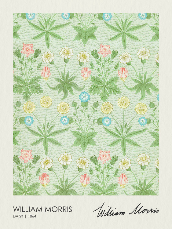 William Morris Plakát, Obraz - Daisy (1864), William Morris, 30 × 40 cm