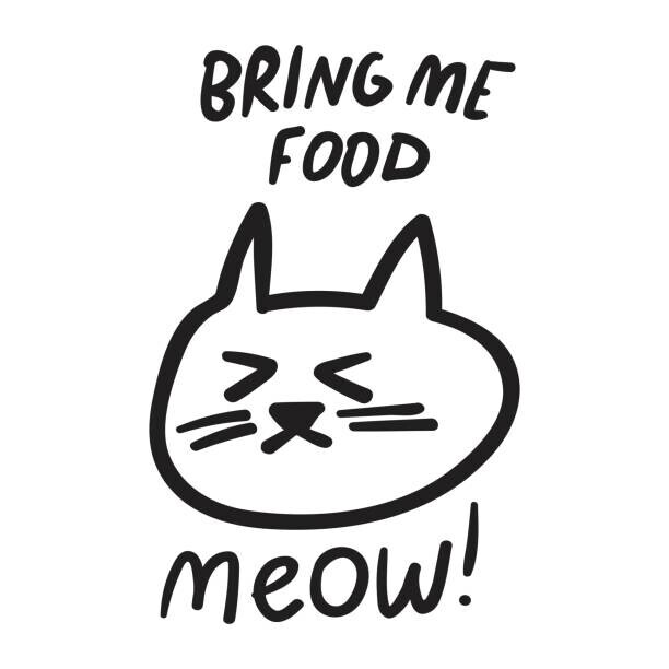Igor Levin Plakát, Obraz - Bring me food. Meow! Angry cat face., Igor Levin, 40 × 40 cm