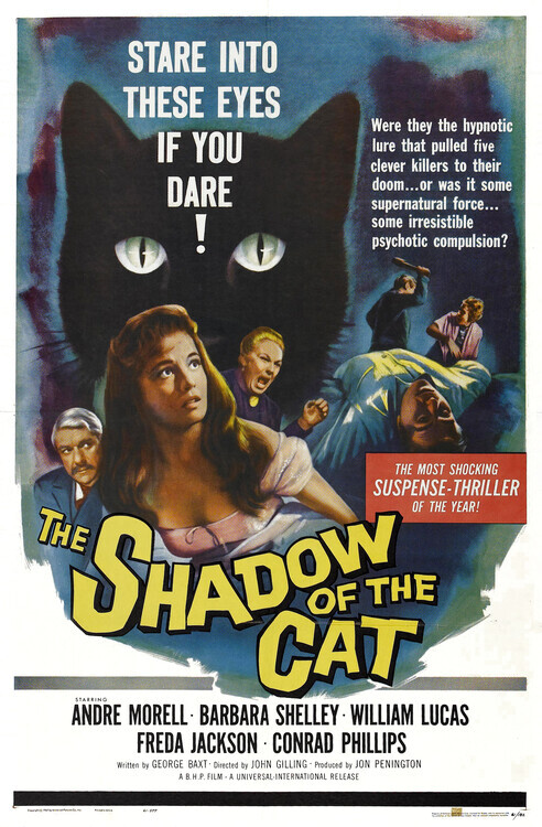 Europosters Plakát, Obraz - Shadow Of Cat, 26.7 × 40 cm