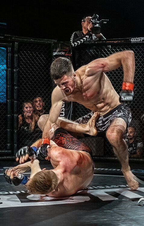 Marcel Egger Plakát, Obraz - Fighting to the bottom, Marcel Egger, 26.7 × 40 cm