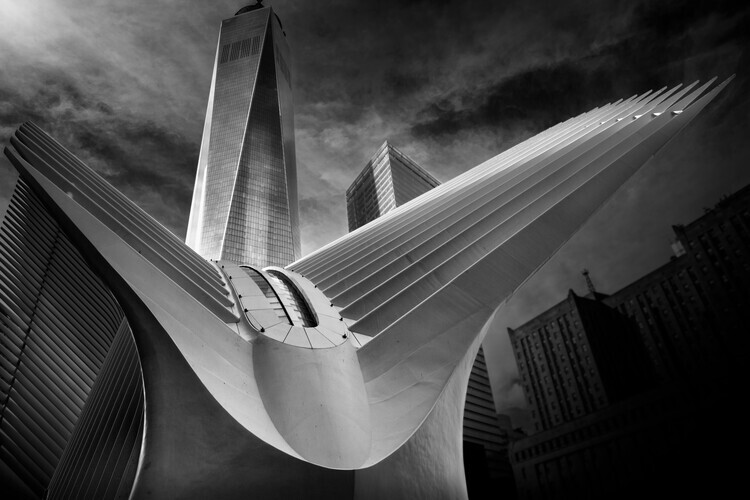 Alessio Forlano Plakát, Obraz - Oculus 01, Alessio Forlano, 40 × 26.7 cm