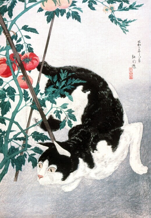 Hiroaki Takahashi Plakát, Obraz - Cat with Tomato Plant (1931), Hiroaki Takahashi, 26.7 × 40 cm