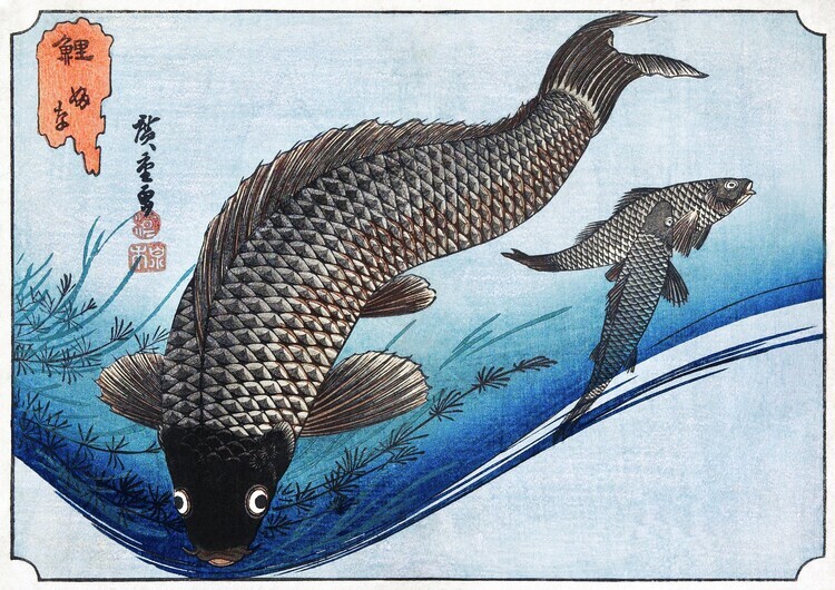 Utagawa Hiroshige Plakát, Obraz - Carp and Crucians (1830), Utagawa Hiroshige, 40 × 30 cm