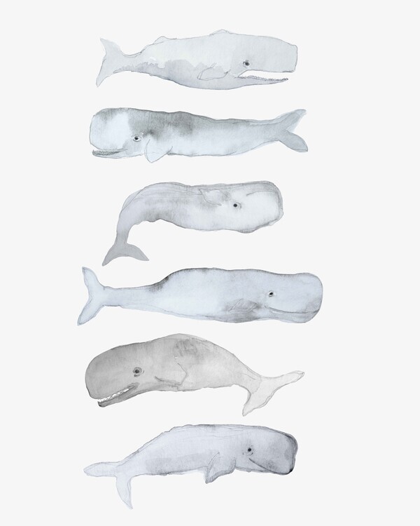 Gemma Bardot Plakát, Obraz - Kids Line Whale Art, Gemma Bardot, 30 × 40 cm