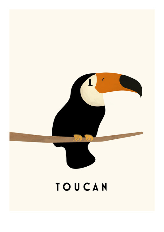 Erik Wintzell Plakát, Obraz - Tucan, Erik Wintzell, 30 × 40 cm