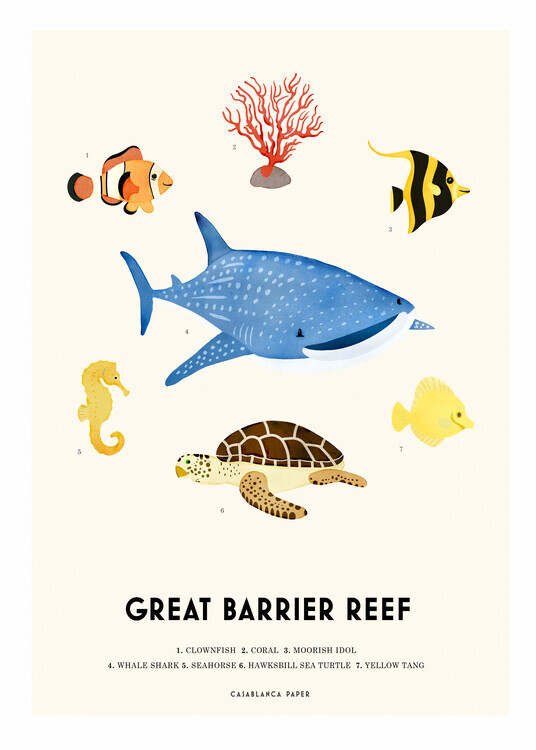 Erik Wintzell Plakát, Obraz - Great Barrier Reef, Erik Wintzell, 30 × 40 cm