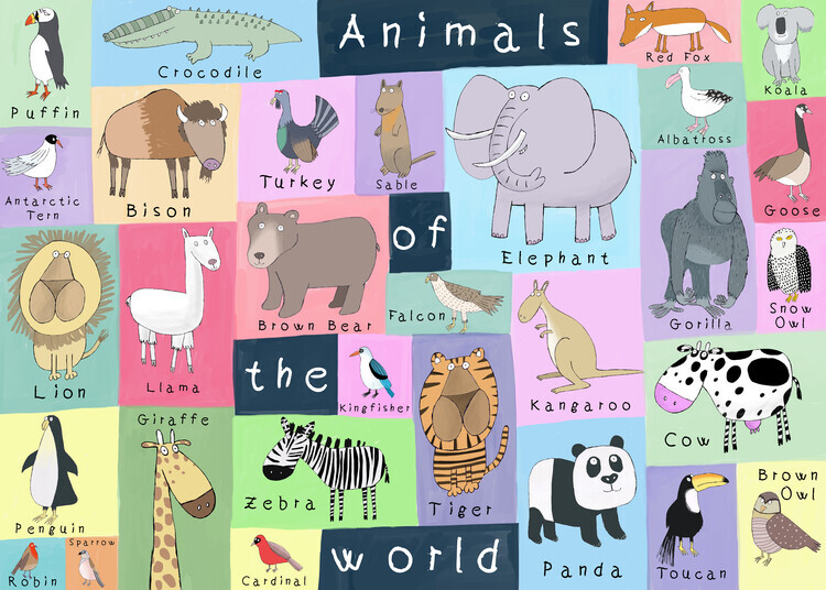 Carla Daly Plakát, Obraz - Animals of the World, Carla Daly, 40 × 30 cm