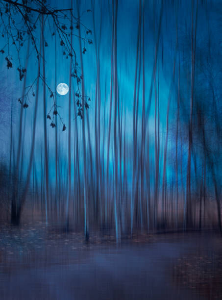 Nikki Georgieva V E G A N I K / 500px Plakát, Obraz - Low angle view of illuminated lights at night, Nikki Georgieva V E G A N I K / 500px, 30 × 40 cm