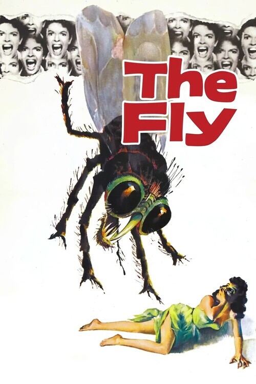 Europosters Plakát, Obraz - The Fly (1958), 26.7 × 40 cm