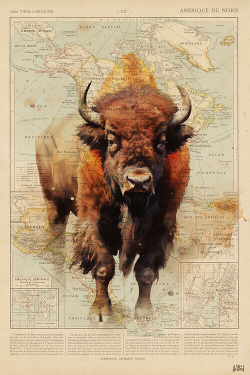 Thomas Chedeville Plakát, Obraz - Bison, Thomas Chedeville, 26.7 × 40 cm