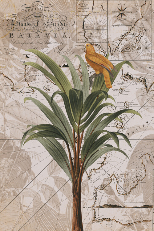 Andrea Haase Plakát, Obraz - Indonesia Jungle Paradise No2, Andrea Haase, 26.7 × 40 cm