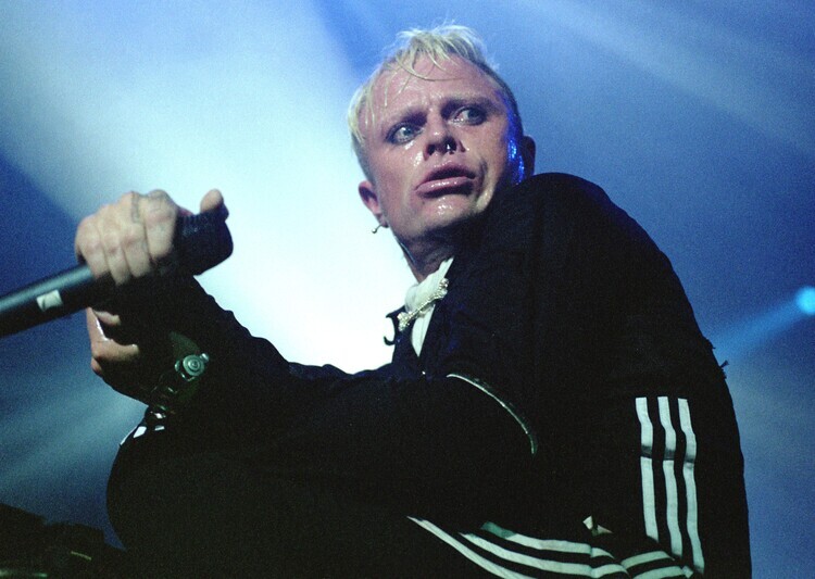 Peter Pakvis Plakát, Obraz - Photo of PRODIGY, 40 × 30 cm