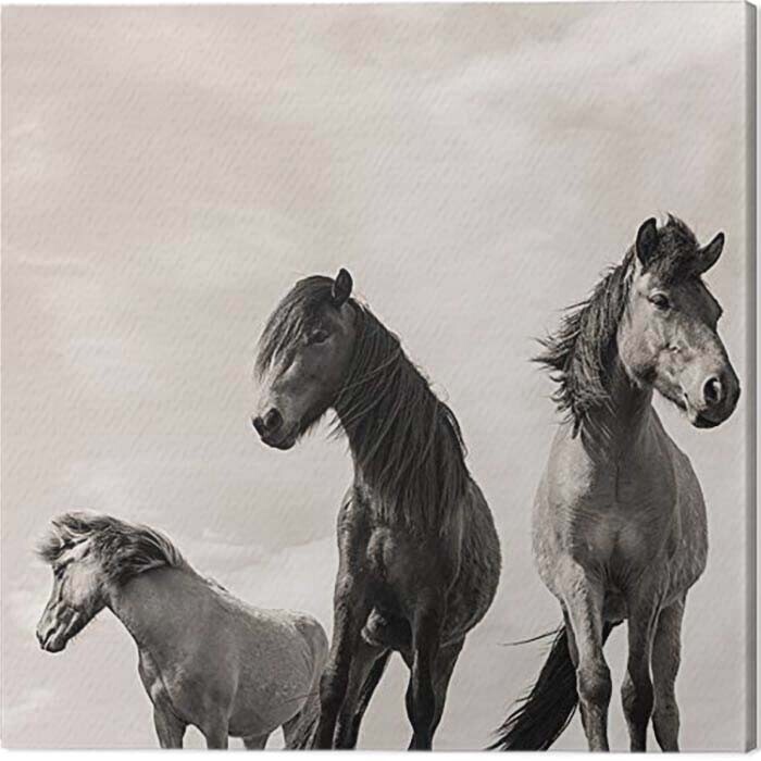 PYRAMID Obraz na plátně Carys Jones - The Three Amigos, 2 - 60×60 cm